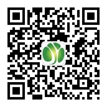 大連生物質鍋爐（lú）